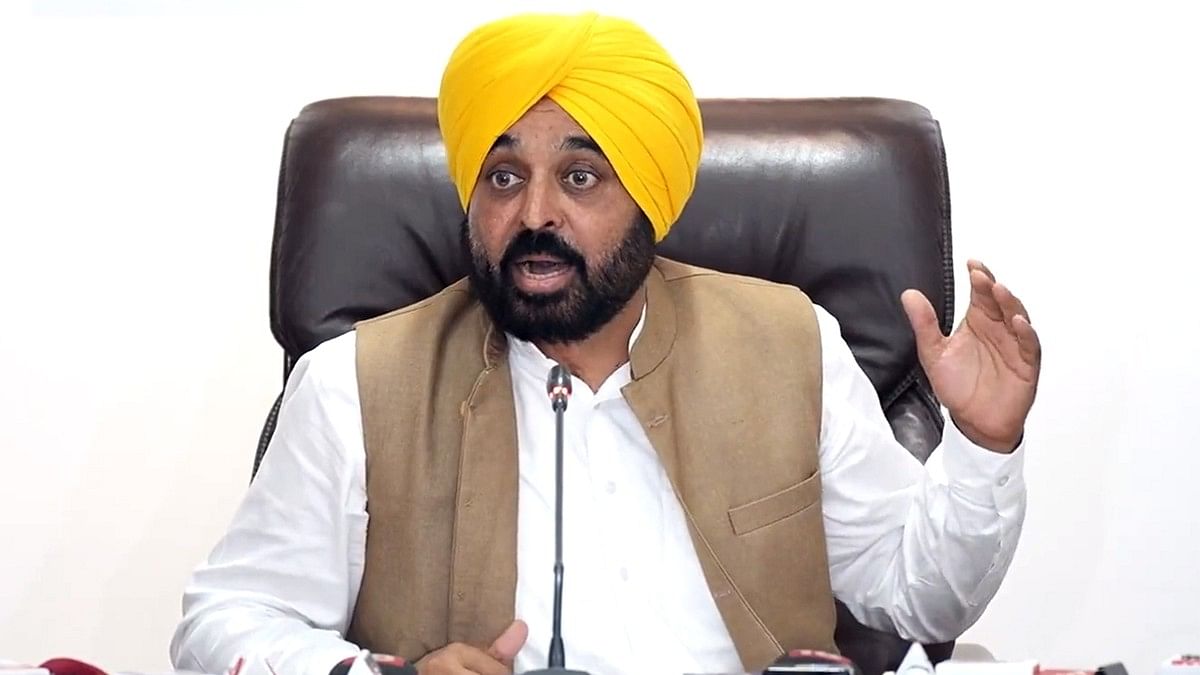 <div class="paragraphs"><p>File photo of&nbsp;Punjab CM Bhagwant Mann.</p></div>